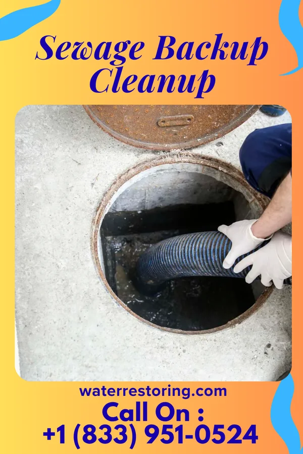 Sewage Backup Cleanup in Breckinridge Center, KY