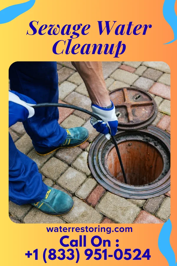Sewage Water Cleanup in Breckinridge Center, KY