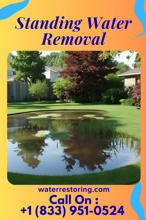 Standing Water Removal in Breckinridge Center, KY